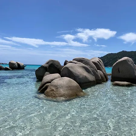 2 Pièces Dans Résidence Hôtelière Les Hameaux De Saint-cyprien Apartahotel 3*