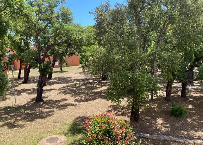 Lejlighedshotel 2 Pieces Dans Hoteliere Les Hameaux De Saint-cyprien Lecci